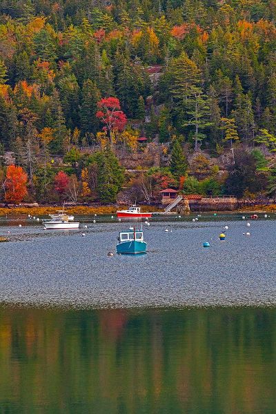 Gulin, Sylvia 아티스트의 USA-New England-Maine-Mt-Desert-Southwest Harbor with wooden boats작품입니다.